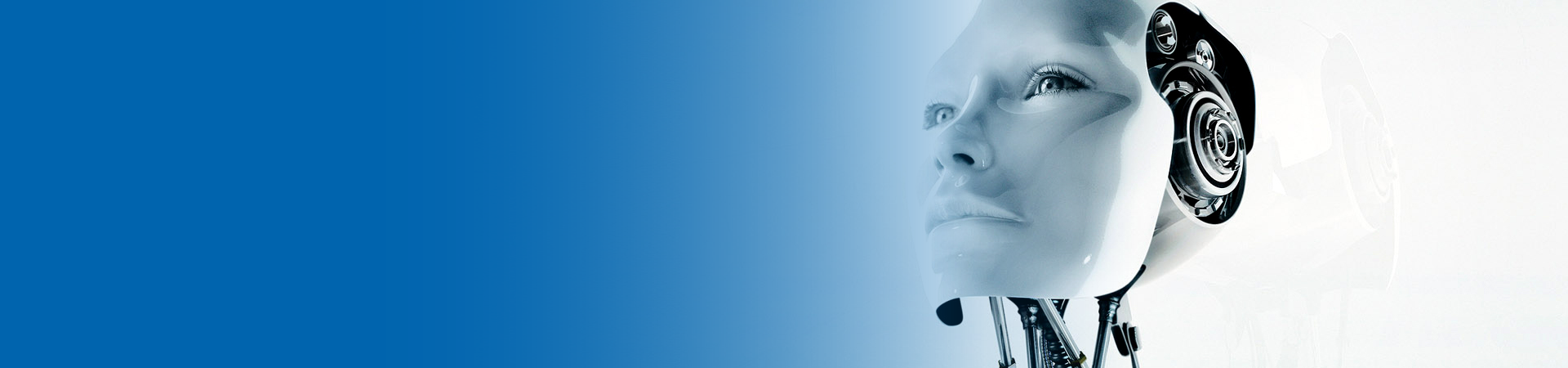 IT Services in Port Harcourt